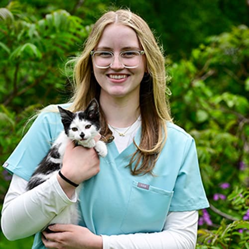 Allison, New Hope Veterinary Assistant