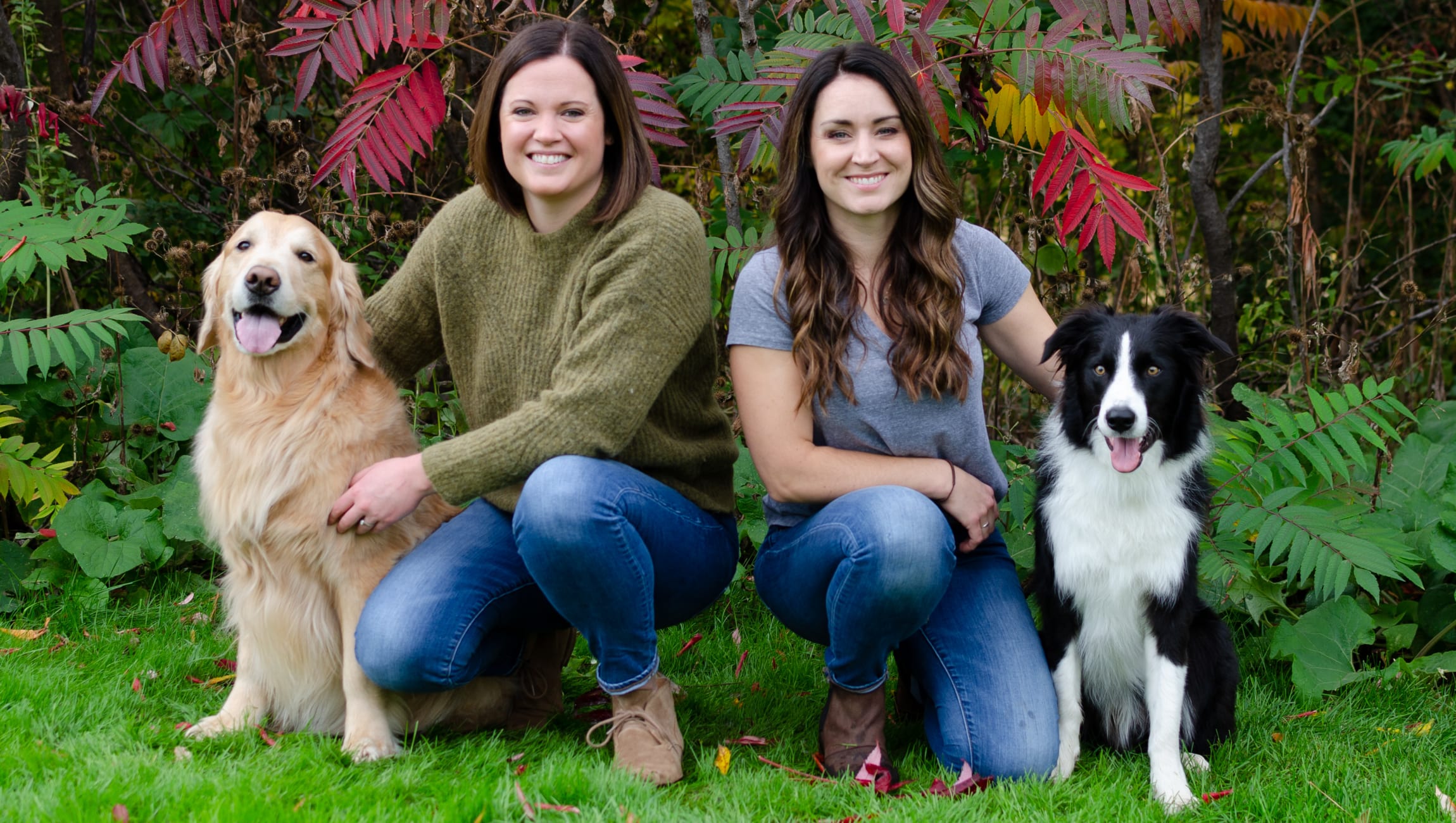 Veterinarians at New Hope Animal Hospital in New Hope MN